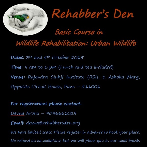 Rehabber's Den Basic Wildlife Rehabilitation Course
